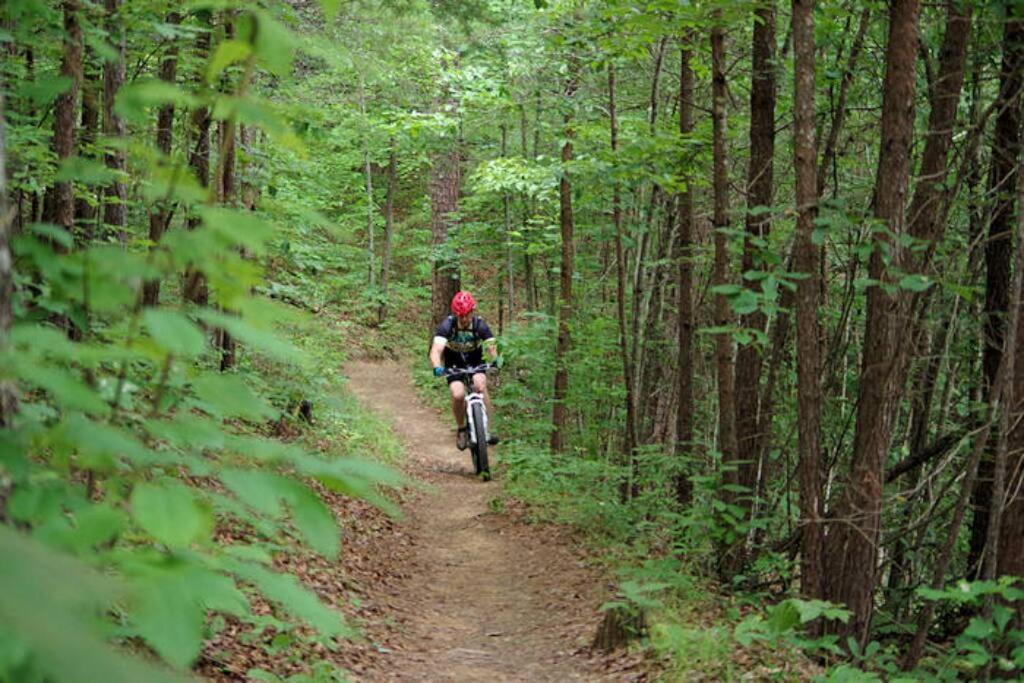 Art'S Bungalow-Wooded Seclusion 1 Mi To Deep Creek And Bryson City Buitenkant foto