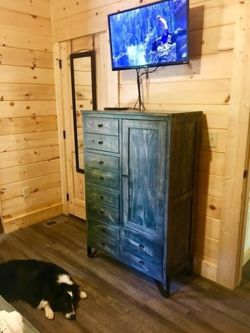Art'S Bungalow-Wooded Seclusion 1 Mi To Deep Creek And Bryson City Buitenkant foto