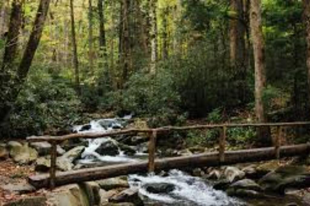 Art'S Bungalow-Wooded Seclusion 1 Mi To Deep Creek And Bryson City Buitenkant foto